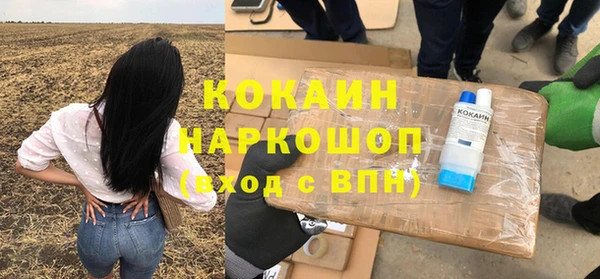 твердый Лагань