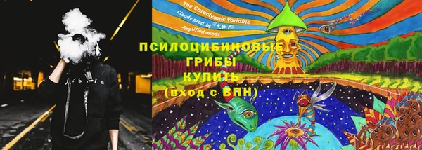 прущие крисы Лабытнанги