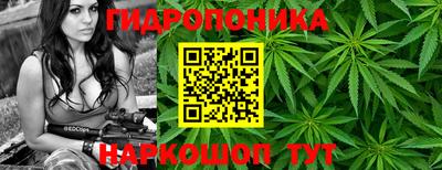 гидра Апрелевка