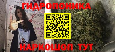 шишки Балашиха