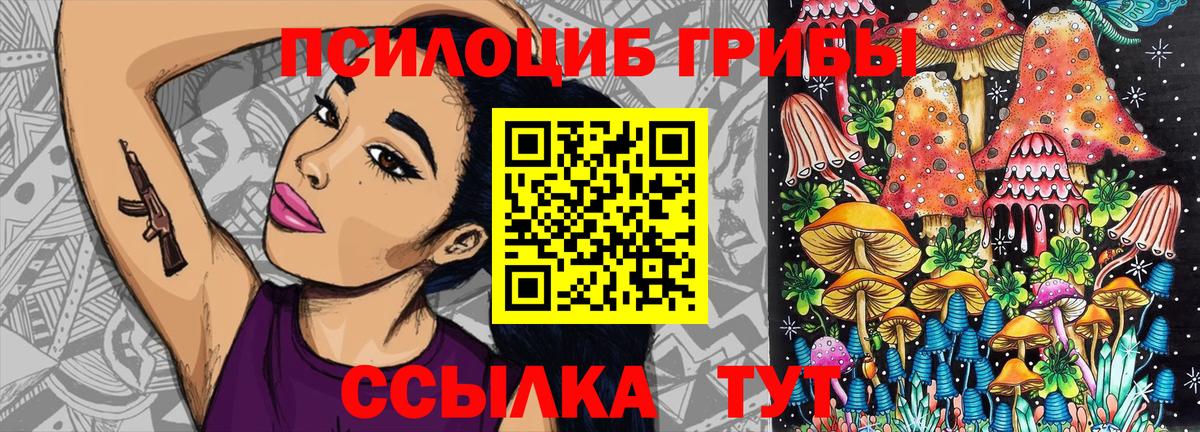 Псилоцибиновые грибы прущие грибы Апшеронск