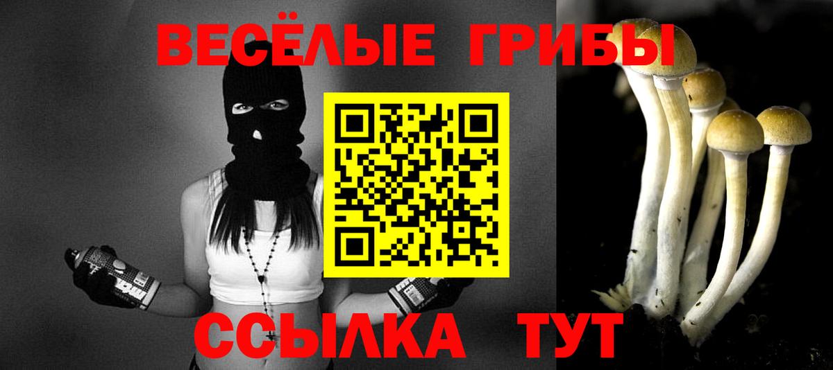 как найти закладки  Апшеронск  Галлюциногенные грибы мухоморы 